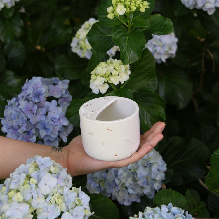 Sippy Cups